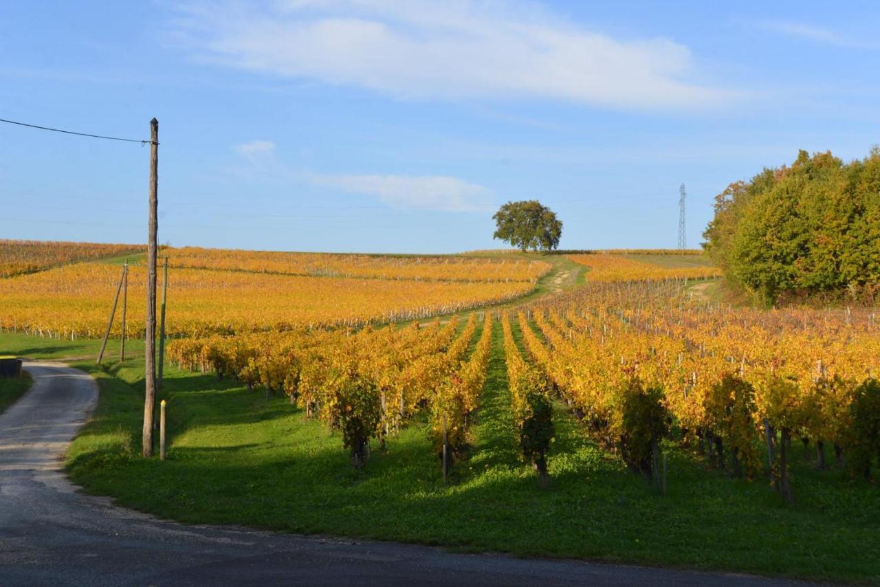 La Closerie De Fronsac Saint-Michel-de-Fronsac Kültér fotó