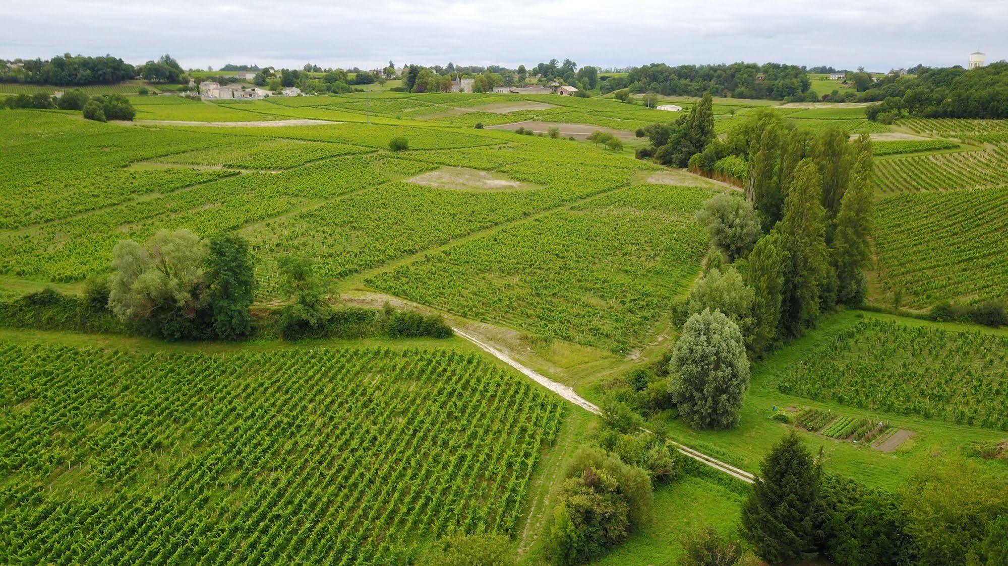 La Closerie De Fronsac Saint-Michel-de-Fronsac Kültér fotó